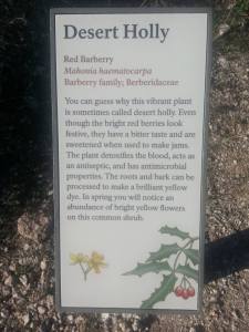 montezumas well red barberry